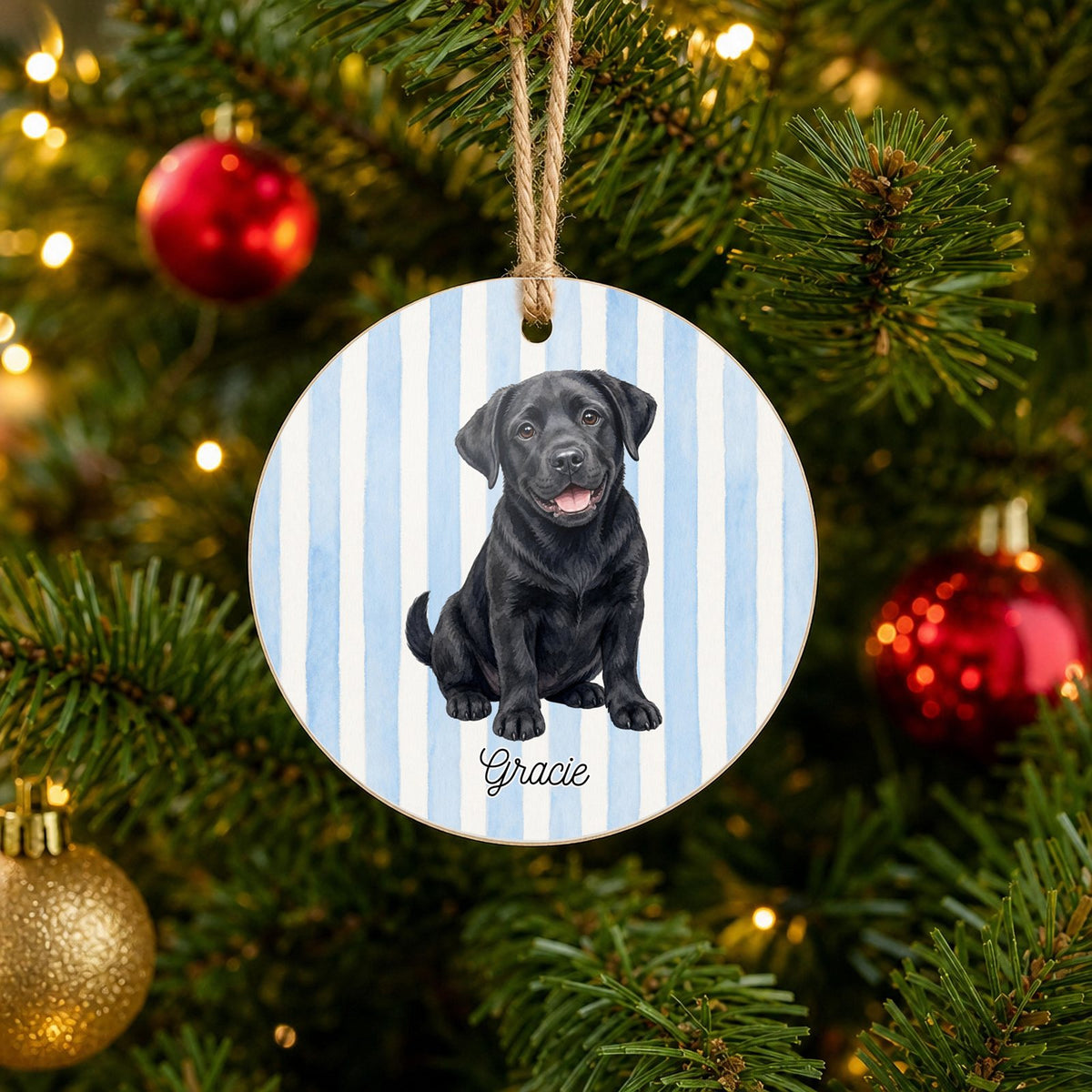 Personalized Black Lab Christmas ornament with custom name hanging on a Christmas tree