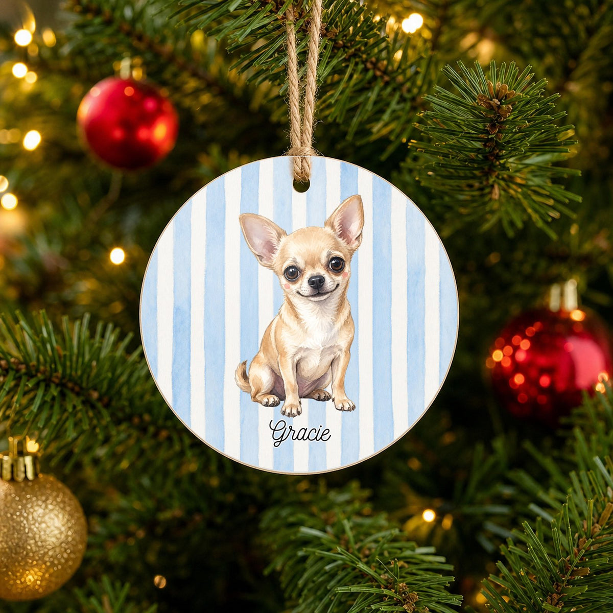 Personalized Chihuahua Christmas ornament with custom name hanging on a Christmas tree