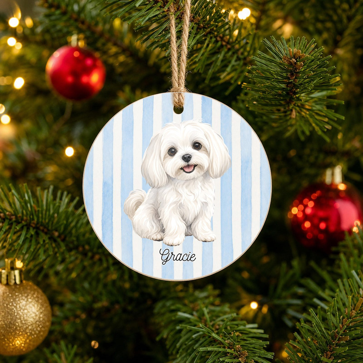 Personalized Maltese Christmas ornament with custom name hanging on a Christmas tree